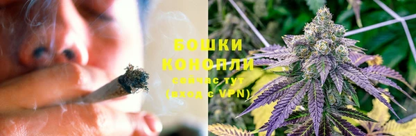 мдпв Каменка