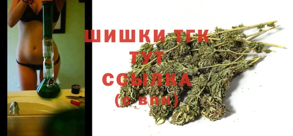 мдпв Каменка