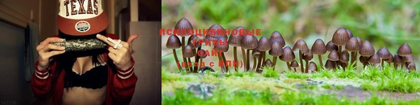 гашишное масло Каменногорск