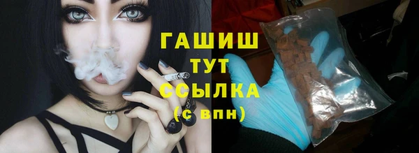 мдпв Каменка