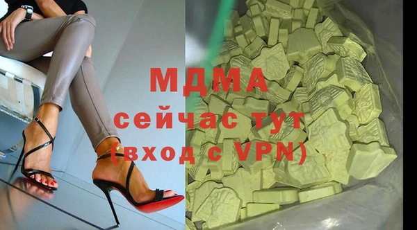 мдпв Каменка