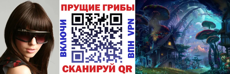 Псилоцибиновые грибы прущие грибы  Купить где  Кимры 
